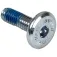 Powerslide Hex Mounting Screw 31 mm