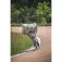 Matter wheels Rueda Code Extreme F2