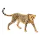 Schleich Wilde cheeta