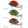 Salmo Crankbait Lil Bug 2.8g