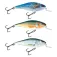 Salmo Minnow Executor SHR 5g 50 mm