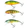 Salmo Perch Floating minnow 36g 120 mm