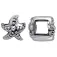 Dive silver Compte Starifsh