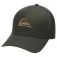 Quiksilver Decades 캡