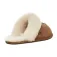 Ugg Scuffette II slippers