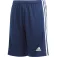 adidas Squadra 21 shorts