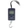 Evia Balance numérique Small 50Kg