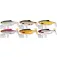 Westin Ricky The Roach Shadtail soft lure 42g 140 mm