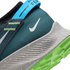 Nike Sabates Running Pegasus Trail 2