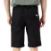 The north face Resolve shorts