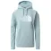The north face Half Dome Hoodie