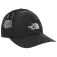 The north face Horizon Mesh cap