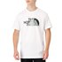 The North Face Biner Graphic 1 short sleeve T-shirt