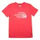 The north face Biner Graphic 1 short sleeve T-shirt