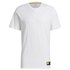 adidas Athletics Graphic short sleeve T-shirt