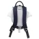 Littlelife Stingray 2L backpack