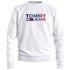 Tommy jeans Huppari Ombre Corp Logo