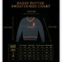 Cinereplicas Sweater Gryffindor Harry Potter