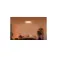 Xiaomi Mi Smart LED Ceiling Light