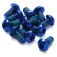 Reverse components Cargols de fre de disc 12 unitats