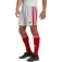 adidas Squadra 21 shorts