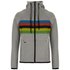 Santini UCI-hoodie