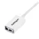 Startech Cable USB Extension USB 2.0 3 m