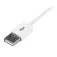 Startech Extension USB 2.0 3 m Kabel USB