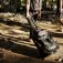 Apeks Saco de equipamento Roller 90L