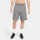Nike Short Dri-Fit