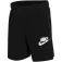 Nike Short Everyday Classic