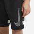 Nike Korte Bukser Dri Fit Academy Graphic