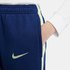 Nike Pantalones FC Barcelona 20/21