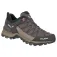 Salewa Mountain Trainer Lite Goretex hiking shoes