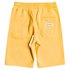 Quiksilver Shorts Easy Day Youth