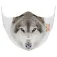 Otso Animals 口罩