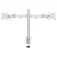 Newstar Neo D135D-montering