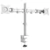 Newstar Neo D135D-montering