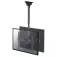 Newstar Supporto TV Neomount C440D