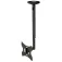 Newstar FPMA-C060 TV Mount