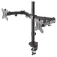 Newstar FPMA-D550DDV TV Mount