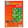 Devir Gioco da tavolo Carcassonne Junior