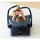 Vtech Bébé singe Jouet pour bébé Version espagnole