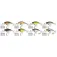 Westin Crankbait Buzz Bite 4g 40 mm