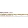 Westin Ringcraw Curltail weicher köder 6g 90 mm
