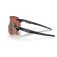 Oakley Encoder Prizm Golf solbriller