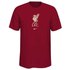 Nike Liverpool FC 21/22 Junior T-Shirt