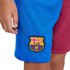 Nike Hjemme/Vare FC Barcelona Stadium 21/22 Junior Shorts Bukser