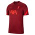 Nike T-paita Liverpool FC Strike 21/22