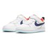 Nike Court Borough Low 2 PSV Trainers